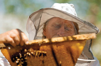 Beekeeper Les Crowder holds up a honeycomb for participants in a beekeeping class in Gallup on Saturday. © 2011 Gallup Independent / Adron Gardner